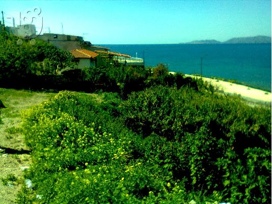 ΠΑΡΑΘΑΛΛΑΣΙΟ ΟΙΚΟΠΕΔΟ ΜΕΓΑΛΗ ΕΥΚΑΙΡΙΑ ΣΤΗΝ ΚΟΡΙΝΘΟ...